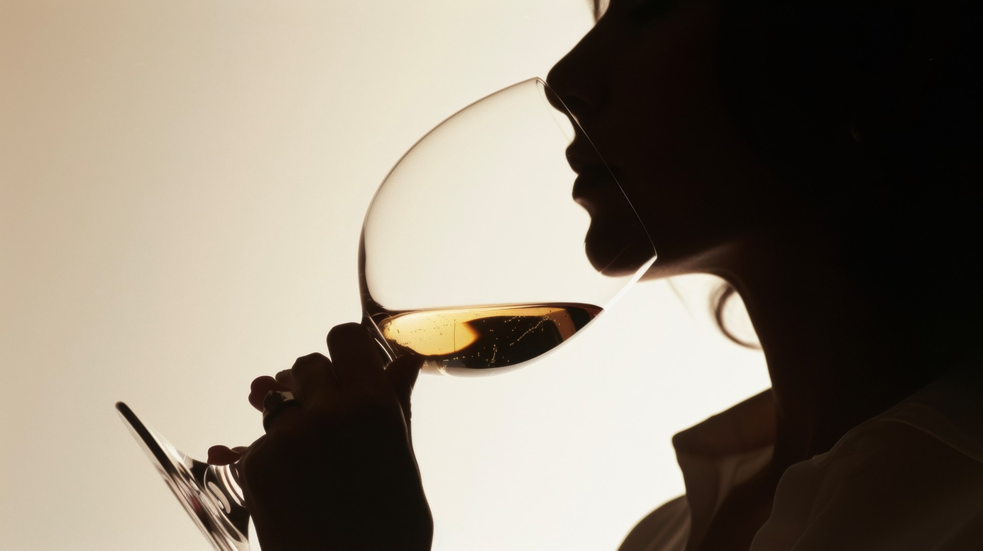 vino piemonte degustazione italia 