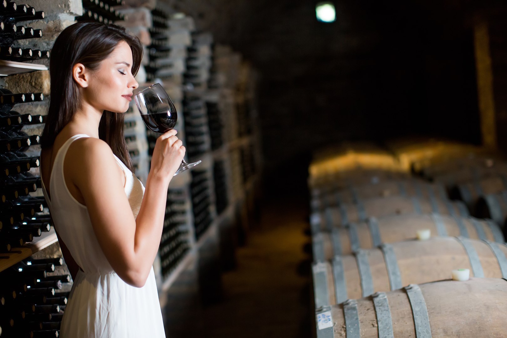 roero langhe degustazione di vini italia piemonte 