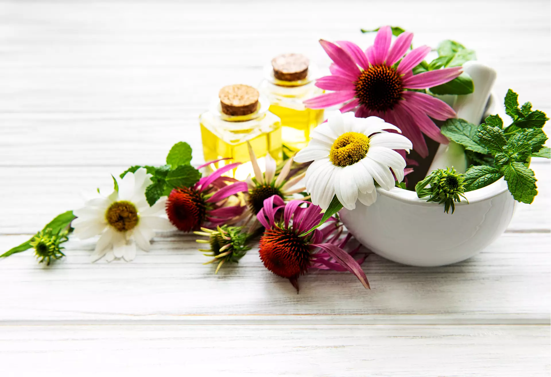 olio essenziale margherita milano naturopatia aromaterapia 